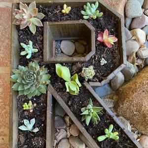 Meet your Posher, Mandy